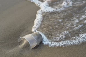 Earth Day 2025: Planet vs. Plastics -- Why This Year Matters for All of Us